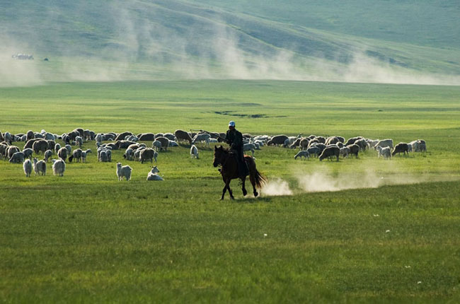 Hulunbeir Grassland